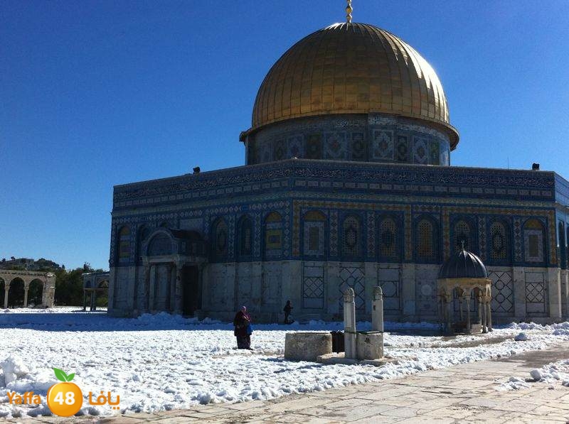 yaffa byareq (13).jpg